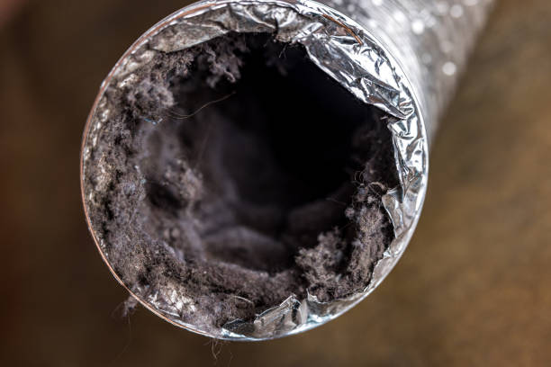 Best HVAC Maintenance and Cleaning  in Bruceton, TN