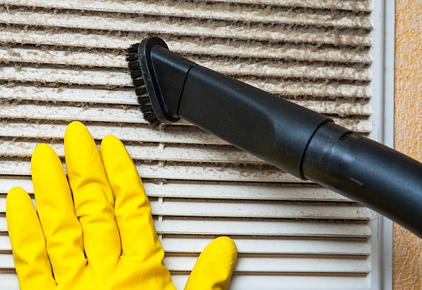 Best Air Vent Cleaning Services  in Bruceton, TN